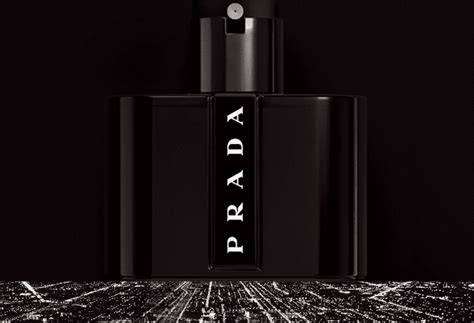 prada black cologne notes|prada black cologne price.